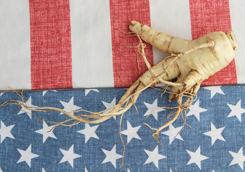 Panax-quinquefolius Panax-quinquefolius