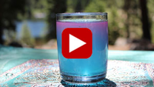 afa-blue-green-algae-thumbnail