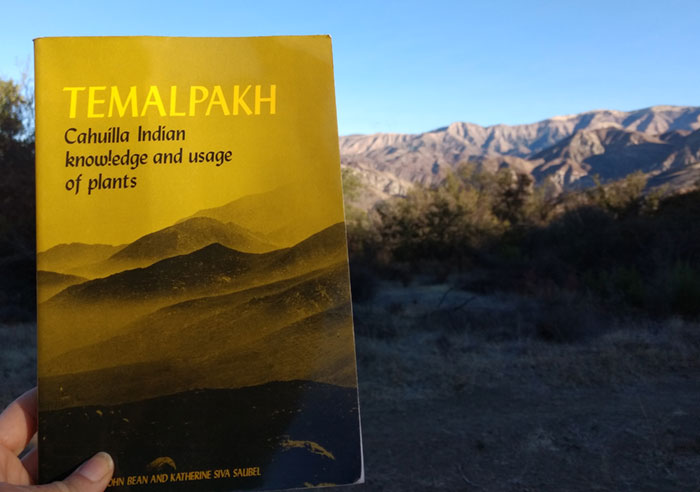 agave-nectar-indigenous-use-book