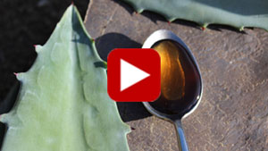 agave-syrup-thumbnail