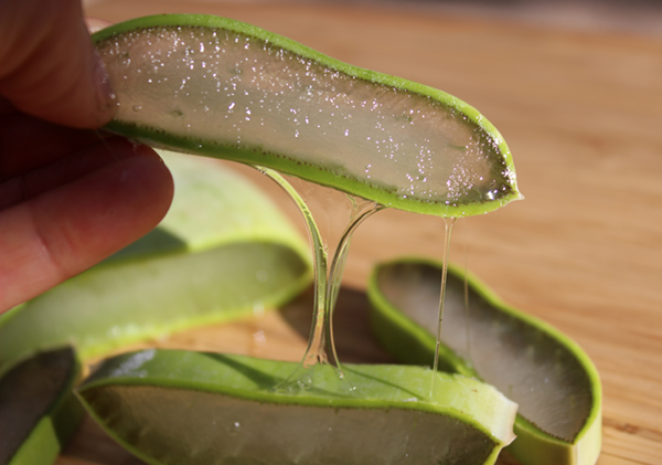 Difference between aloe vera juice and gel hotsell