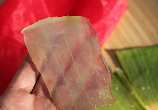 aloe-vera-gel-fillet aloe-vera-gel-fillet