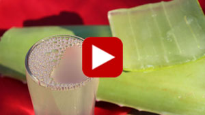 aloe-vera-gel-vid