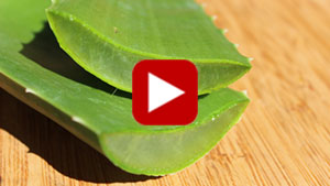 aloe-vera-vid