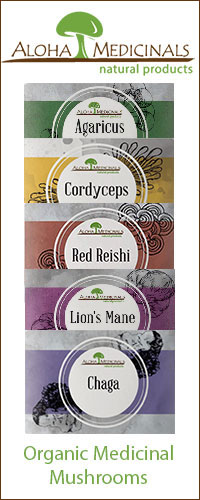 mushroom-wisdom-banner