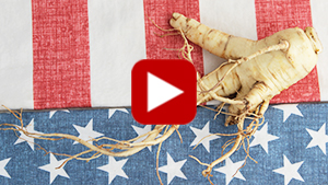 american-ginseng-vid