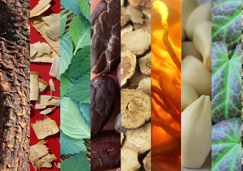 ancient-natural-aphrodisiacs