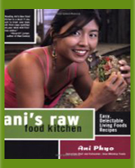 anis-raw-kitchen-raw-food-cookbook