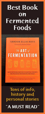 art-of-fermentation-book-banner