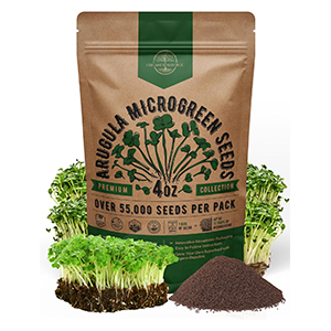arugula-microgreen-seeds