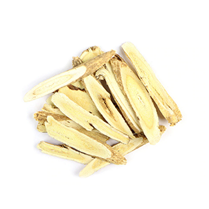 astragalus-root-mrh-1