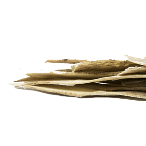 astragalus-slices-mountain-rose