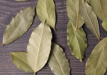 bay-leaves-related-page