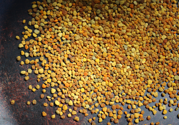 bee-pollen-benefits-as-superfood bee-pollen-benefits-as-superfood