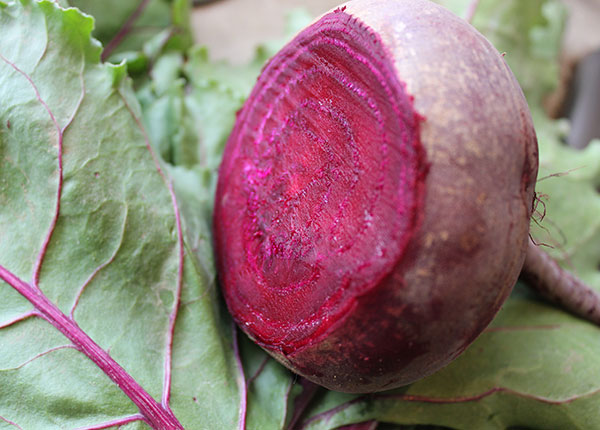 beetroot-juice-benefits beetroot-juice-benefits