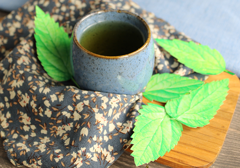 benefit-of-skullcap benefit-of-skullcap