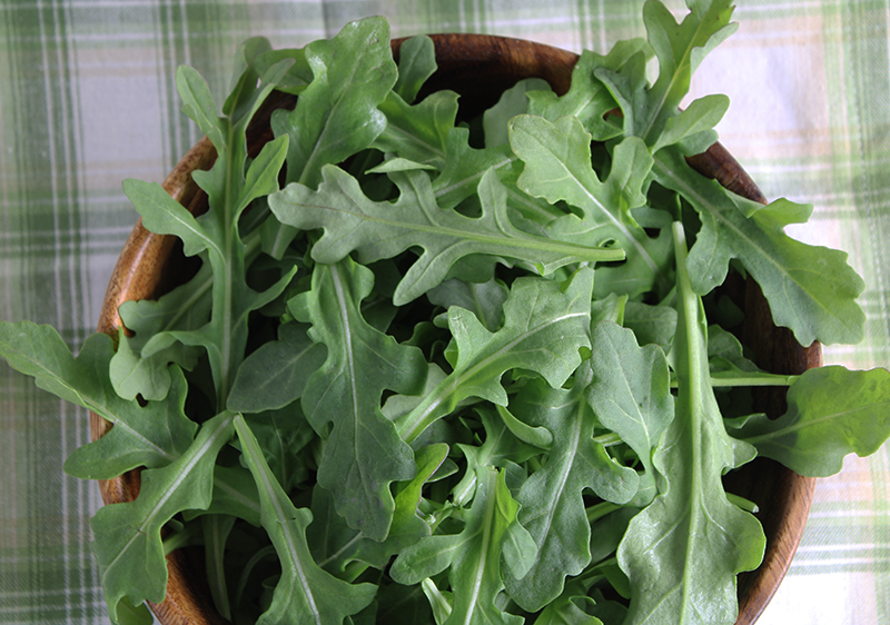 benefits-of-arugula benefits-of-arugula