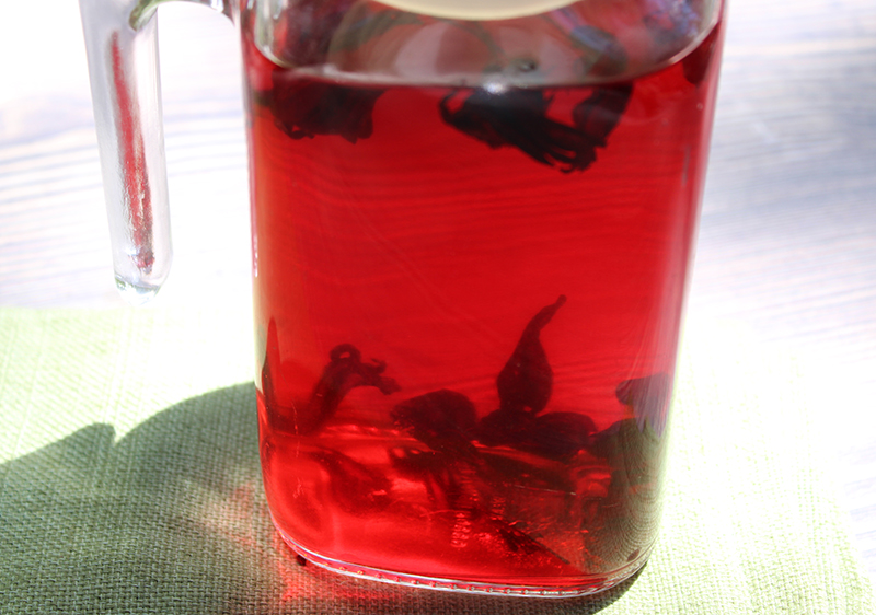 benefits-of-drinking-hibicus-tea benefits-of-drinking-hibicus-tea