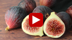 benefits-of-figs-vid