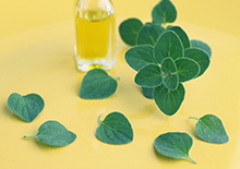 benefits-of-oregano-related-pages