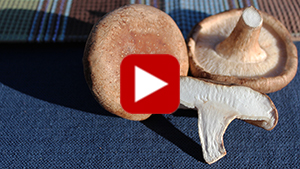 benefits-of-shiitake-mushrooms-vid
