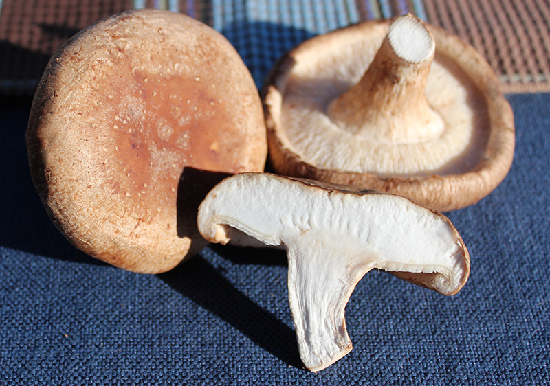 benefits-of-shiitake-mushrooms benefits-of-shiitake-mushrooms