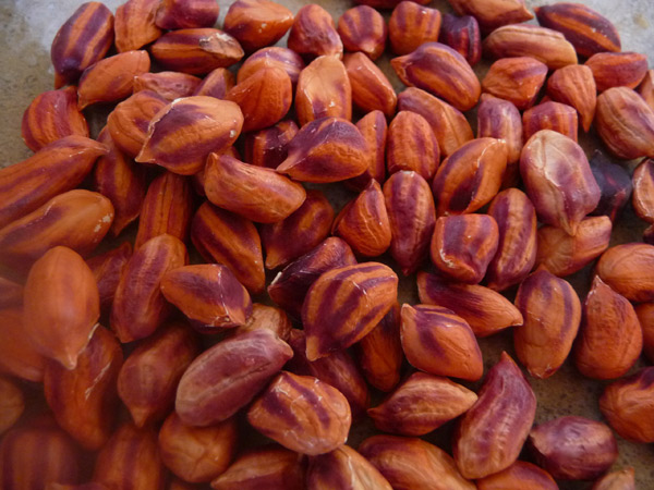 best-pad-thai-recipe-raw-jungle-peanuts