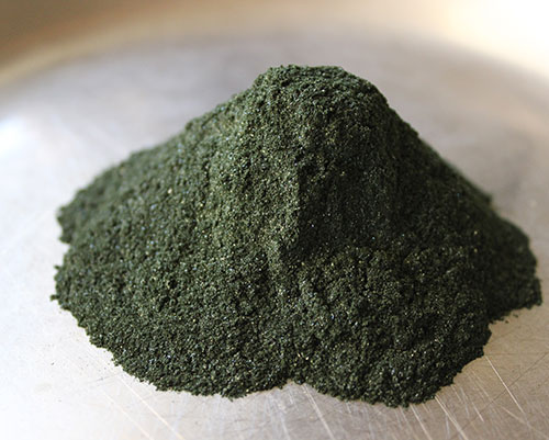 blue-green-algae-aphanizomenon-flos-aquae