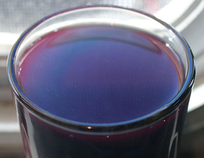 blue-green-algae-health-benefits-micro-algae