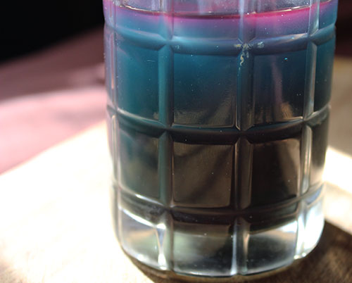 blue-green-algae-health-benefits-water