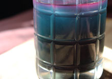 blue-green-algae-related-pages