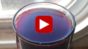 blue-green-algae-vid