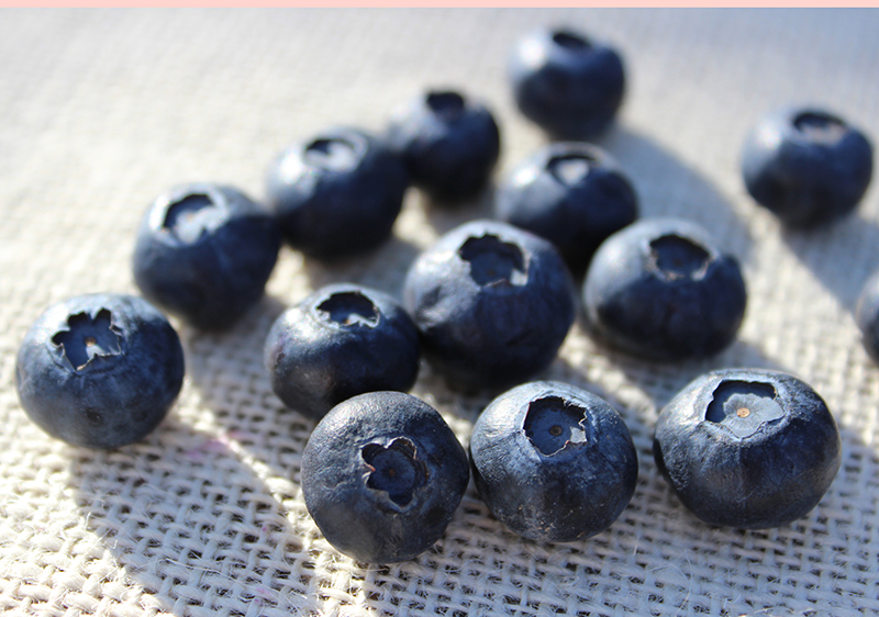 blueberries-common-fruits blueberries-common-fruits