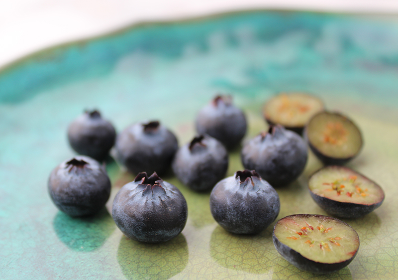 blueberries-cut-in-half blueberries-cut-in-half