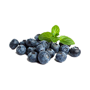 blueberries-fresh