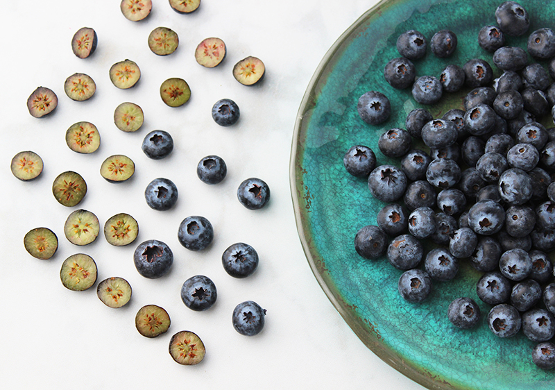 blueberry-benefits blueberry-benefits