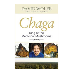 books-chaga-book-david-wolfe