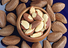 brazil-nuts-related-pages