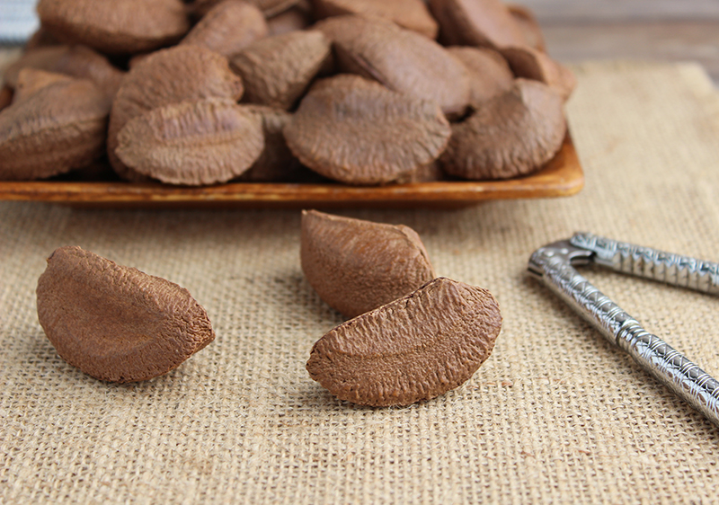 Unique Facts About Brazil Nuts and Selenium Content