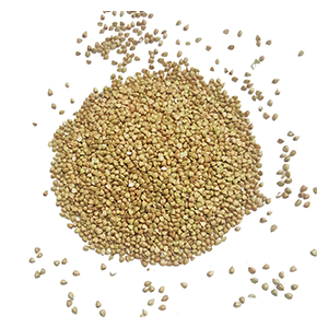 buckwheat-groats-primal-10lbs