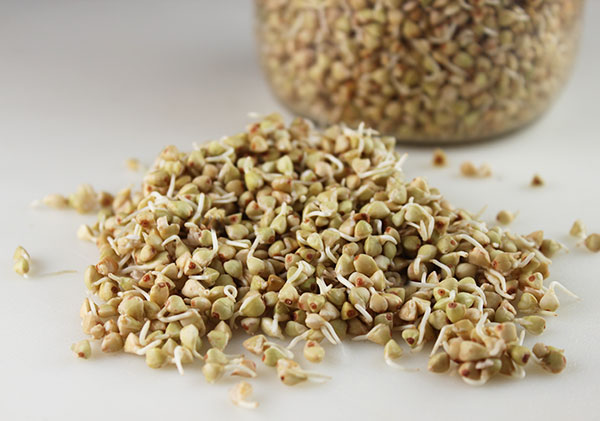 buckwheat-sprouts-for-pizza-crust-dough