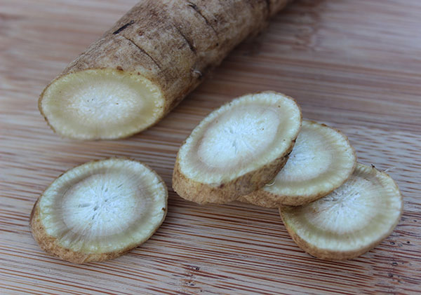 burdock-root-cleansing-herbs burdock-root-cleansing-herbs