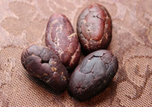cacao-beans-related-pages