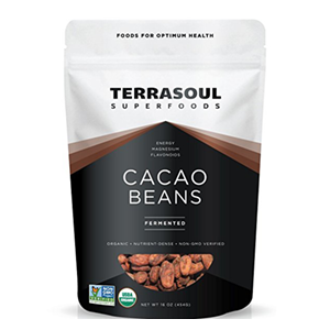 cacao-beans-terrasoul