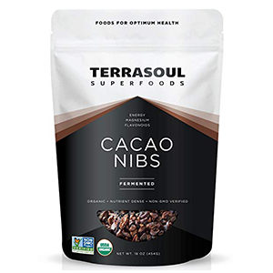 cacao-nibs-terrasoul