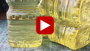 canola-oil-vid