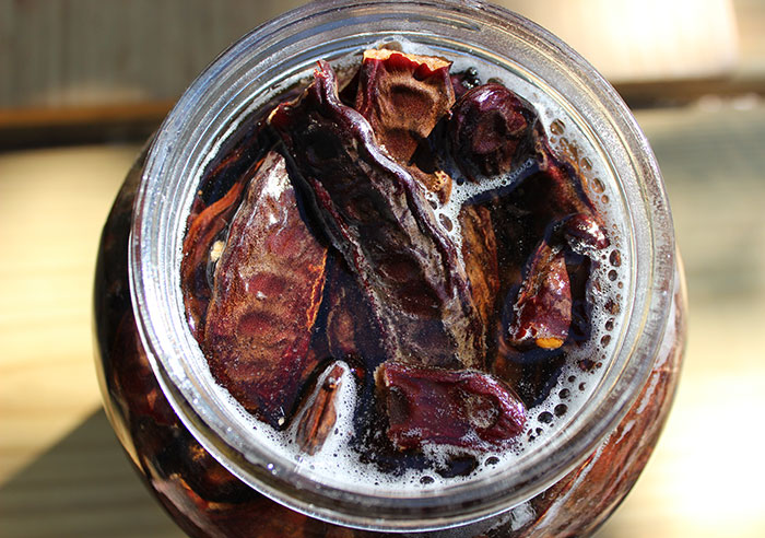 carob-pod-soaking