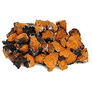 chaga-chunks