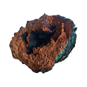 chaga-large-chunk-1lb