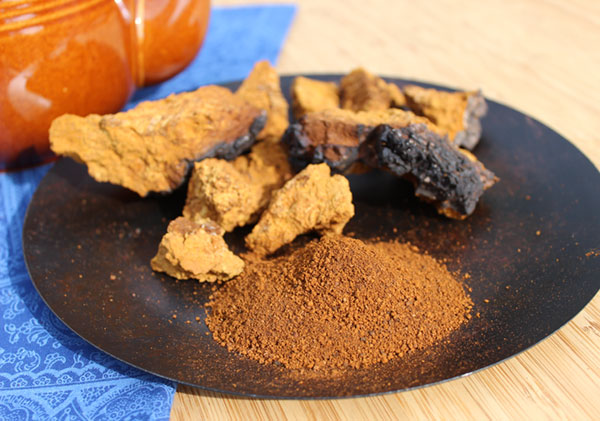 chaga-mushroom-chunks-ground